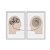 Kit Dois Quadros Decorativos Psicologia Resolução Conversa Bege Fundo Branco - Imagem 1