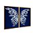 Kit Dois Quadros Decorativos Borboleta de Cristal Azul Fundo Preto Degradê Azul - Imagem 6