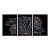 Kit 3 Quadros Decorativos Flores Cinzas Detalhes Dourados Moderno - Imagem 3