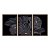 Kit 3 Quadros Decorativos Flores Cinzas Detalhes Dourados Moderno - Imagem 5