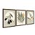 Kit 3 Quadros Decorativos Folhas E Frutas Minimalista Moderno - Imagem 6