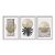 Kit 3 Quadros Decorativos Abstrato Lua Linhas Moderno Tons De Bege - Imagem 1