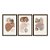 Kit 3 Quadros Decorativos Plantas Boho Moderno Tons De Marrom - Imagem 5