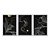 Kit 3 Quadros Decorativos Circulos Dourados Folhas Brancas Fundo Preto Linha Dourada Abstrato - Imagem 1