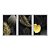 Kit 3 Quadros Decorativos Folhas Douradas Fundo Preto Moderno - Imagem 1
