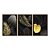 Kit 3 Quadros Decorativos Folhas Douradas Fundo Preto Moderno - Imagem 5