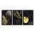 Kit 3 Quadros Decorativos Folhas Douradas Fundo Preto Moderno - Imagem 3