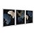 Kit 3 Quadros Decorativos Folhas Beges e Azuis Detalhes Dourados Moderno - Imagem 2