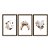 Kit 3 Quadros Decorativos Lua Coração Arco Íris Com Flores Fundo Branco - Imagem 5