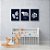 Kit 3 Quadros Decorativos Urso Florido Folhas Preto e Branco Frase Permaneça Selvagem - Imagem 7
