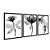 Kit 3 Quadros Decorativos Fotografia Preto E Branco Flores e Suas Folhas - Imagem 4