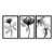 Kit 3 Quadros Decorativos Fotografia Preto E Branco Flores e Suas Folhas - Imagem 3