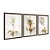 Kit 3 Quadros Decorativos Flores Douradas Fundo Branco Moderno - Imagem 6