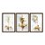 Kit 3 Quadros Decorativos Flores Douradas Fundo Branco Moderno - Imagem 5