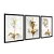 Kit 3 Quadros Decorativos Flores Douradas Fundo Branco Moderno - Imagem 4