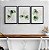 Kit 3 Quadros Decorativos Efeito Pintura Folhas Samambaia Fundo Branco - Imagem 7