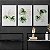 Kit 3 Quadros Decorativos Efeito Pintura Folhas Samambaia Fundo Branco - Imagem 9