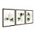 Kit 3 Quadros Decorativos Efeito Pintura Folhas Samambaia Fundo Branco - Imagem 6