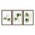 Kit 3 Quadros Decorativos Efeito Pintura Folhas Samambaia Fundo Branco - Imagem 5