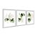 Kit 3 Quadros Decorativos Efeito Pintura Folhas Samambaia Fundo Branco - Imagem 2