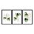 Kit 3 Quadros Decorativos Efeito Pintura Folhas Samambaia Fundo Branco - Imagem 3