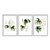 Kit 3 Quadros Decorativos Efeito Pintura Folhas Samambaia Fundo Branco - Imagem 1