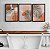 Kit 3 Quadros Decorativos Folhas De Palmeira Vasos de Barro Fundo Rosa - Imagem 7