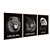 Kit 3 Quadros Decorativos Leão Lobo Águia Com Olhos Azuis Em Um Fundo Preto - Imagem 6