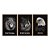 Kit 3 Quadros Decorativos Leão Lobo Águia Com Olhos Azuis Em Um Fundo Preto - Imagem 5