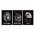 Kit 3 Quadros Decorativos Leão Lobo Águia Com Olhos Azuis Em Um Fundo Preto - Imagem 3
