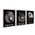 Kit 3 Quadros Decorativos Leão Lobo Águia Com Olhos Azuis Em Um Fundo Preto - Imagem 2