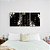Kit 3 Quadros Decorativos Arte Floral Fundo Preto Viva Sonhe Ame - Imagem 10