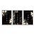 Kit 3 Quadros Decorativos Arte Floral Fundo Preto Viva Sonhe Ame - Imagem 1
