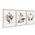 Kit 3 Quadros Decorativos Estátuas Gregas E Pop Art Preto E Branco Marrom - Imagem 2