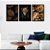 Kit 3 Quadros Decorativos Leão Encarando Plantas Douradas Abstrato - Imagem 7