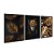 Kit 3 Quadros Decorativos Leão Encarando Plantas Douradas Abstrato - Imagem 4