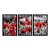 Kit 3 Quadros Decorativos Flores Vermelhas No Campo Preto E Branco - Imagem 3