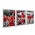 Kit 3 Quadros Decorativos Flores Vermelhas No Campo Preto E Branco - Imagem 2
