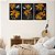Kit 3 Quadros Decorativos Desenho Flor Amarela E Cinza Com Fundo Preto - Imagem 9
