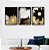 Kit 3 Quadros Decorativos Flores Douradas Brancas e Pretas Fundo Preto - Imagem 9