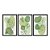 Kit 3 Quadros Decorativos Fomas Verdes Variadas E Plantas Abstrato Moderno - Imagem 3