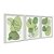 Kit 3 Quadros Decorativos Fomas Verdes Variadas E Plantas Abstrato Moderno - Imagem 2