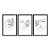Kit 3 Quadros Decorativos Desenho Do Rosto De Uma Mulher Rosas Preto E Branco - Imagem 3