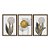 Kit 3 Quadros Decorativos Efeito Pintura Pantas Disco De Ouro Ao Fundo - Imagem 5