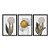 Kit 3 Quadros Decorativos Efeito Pintura Pantas Disco De Ouro Ao Fundo - Imagem 3