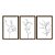 Kit 3 Quadros Decorativos Desenho De Uma Planta Preto e Branco - Imagem 5