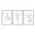 Kit 3 Quadros Decorativos Desenho De Uma Planta Preto e Branco - Imagem 1