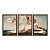 Kit 3 Quadros Decorativos Pintura Renacentista O Nascimento de Venus - Imagem 5