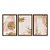 Kit 3 Quadros Decorativos Efeito Pintura Pinceladas de Tinta Rosa Círculo De Ouro - Imagem 5
