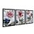 Kit 3 Quadros Decorativos Efeito Pintura Flores Vermelhas Vintage - Imagem 4